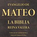 [Spanish] - Evangelio de Mateo: La Biblia Reina Valera Audiobook