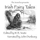 Irish Fairy Tales Audiobook