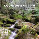 Countdown 999-0: Brook Audiobook