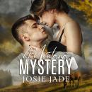 Montana Mystery Audiobook