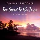 Too Good To Be True Audiobook