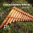Countdown 999-0: Flute Audiobook