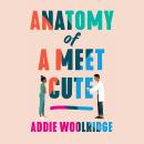 Anatomy of a Meet Cute Audiobook