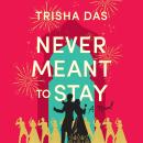 Never Meant to Stay: A Novel Audiobook
