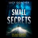 Small Secrets Audiobook