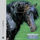 Midnight Mystery Audiobook