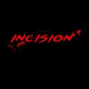 Incision: The Rosedale Incident Audiobook
