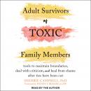 Adult Survivors of Toxic Family Members: Tools to Maintain Boundaries, Deal with Criticism, and Heal Audiobook