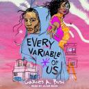 Every Variable of Us Audiobook