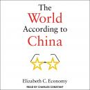The World According to China Audiobook