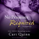 No Promises Required Audiobook