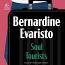 Cover of Soul Tourists