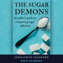 The Sugar Demons: An Addict's Guide to Conquering Sugar Addiction Audiobook