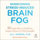 Overcoming Stress-Induced Brain Fog: 10 Simple Ways to Find Focus, Improve Memory, and Feel Grounded Audiobook