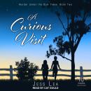 A Curious Visit Audiobook