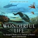 Wonderful Life: The Burgess Shale and the Nature of History Audiobook