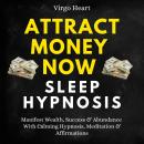 Attract Money Now Sleep Hypnosis: Manifest Wealth, Success & Abundance With Calming Hypnosis, Medita Audiobook