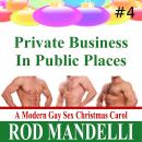 Private Business In Public Places Audiobook