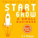 Principles to Start Growing a Small Business: Don't Fail Audiobook