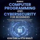 Computer Programming and Cybersecurity for Beginners: All You Need to Know to Get Started with Python for Data Science, Excel and Ethical Hacking