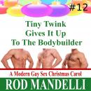 Tiny Twink Gives It Up To The Bodybuilder Audiobook