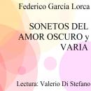 [Spanish] - Sonetos del Amor oscuro - Varia