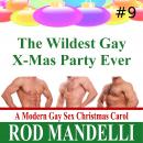 The Wildest Gay X-Mas Party Ever Audiobook