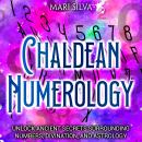 Chaldean Numerology: Unlock Ancient Secrets Surrounding Numbers, Divination, and Astrology Audiobook