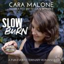 Slow Burn: A Fur-ever Veterinary Romance Audiobook