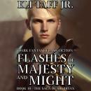 Flashes of Majesty and Might Audiobook