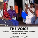 The Voice: Grandma's Amazing Stories of Divine Guidance in Times of Trouble Audiobook