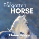 The Forgotten Horse: Book 1 in the Connemara Horse Adventure Series for Kids. Audiobook