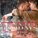 Steamy Holidays: Sexy Holiday Tales Audiobook