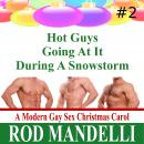 Hot Guys Going At It During A Snowstorm Audiobook