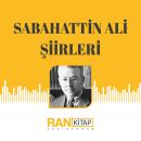 [Turkish] - Sabahattin Ali - Tüm Şiirleri Audiobook