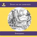 [Dutch] - Droom van een zomernacht Audiobook