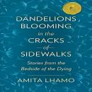 Dandelions Blooming in the Cracks of Sidewalks: Stories from the Bedside of the Dying Audiobook