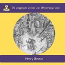 [Dutch] - De weggelopen Prinses van Winterslaap stad Audiobook