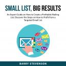 Small List Big Results Audiobook