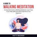 A Guide to Walking Meditation Audiobook