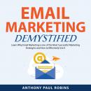 Email Marketing Demystified Audiobook