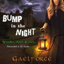 Bump in the Night Audiobook