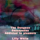 The Dungeon Sexcapades Audiobook