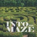 Into the Maze Audiobook
