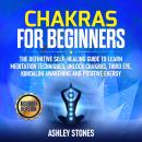 Chakras For Beginners Audiobook