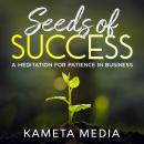 Seeds of Success: A Meditation for Patience in Business Audiobook