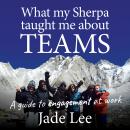 What my Sherpa taught me about teams: A guide to engagement at work Audiobook