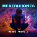 [Spanish] - Meditaciones Audiobook