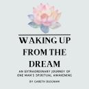 Waking Up From The Dream Audiobook