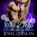 The Drop Audiobook